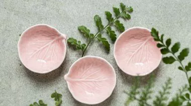 plating-instructions-image